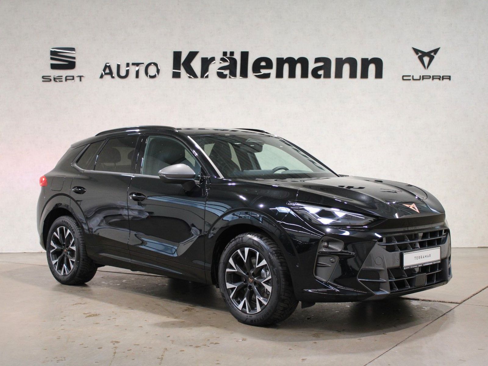 Terramar 1.5 DSG e-HYBRID *AHK*LED*NAVI*Allwette