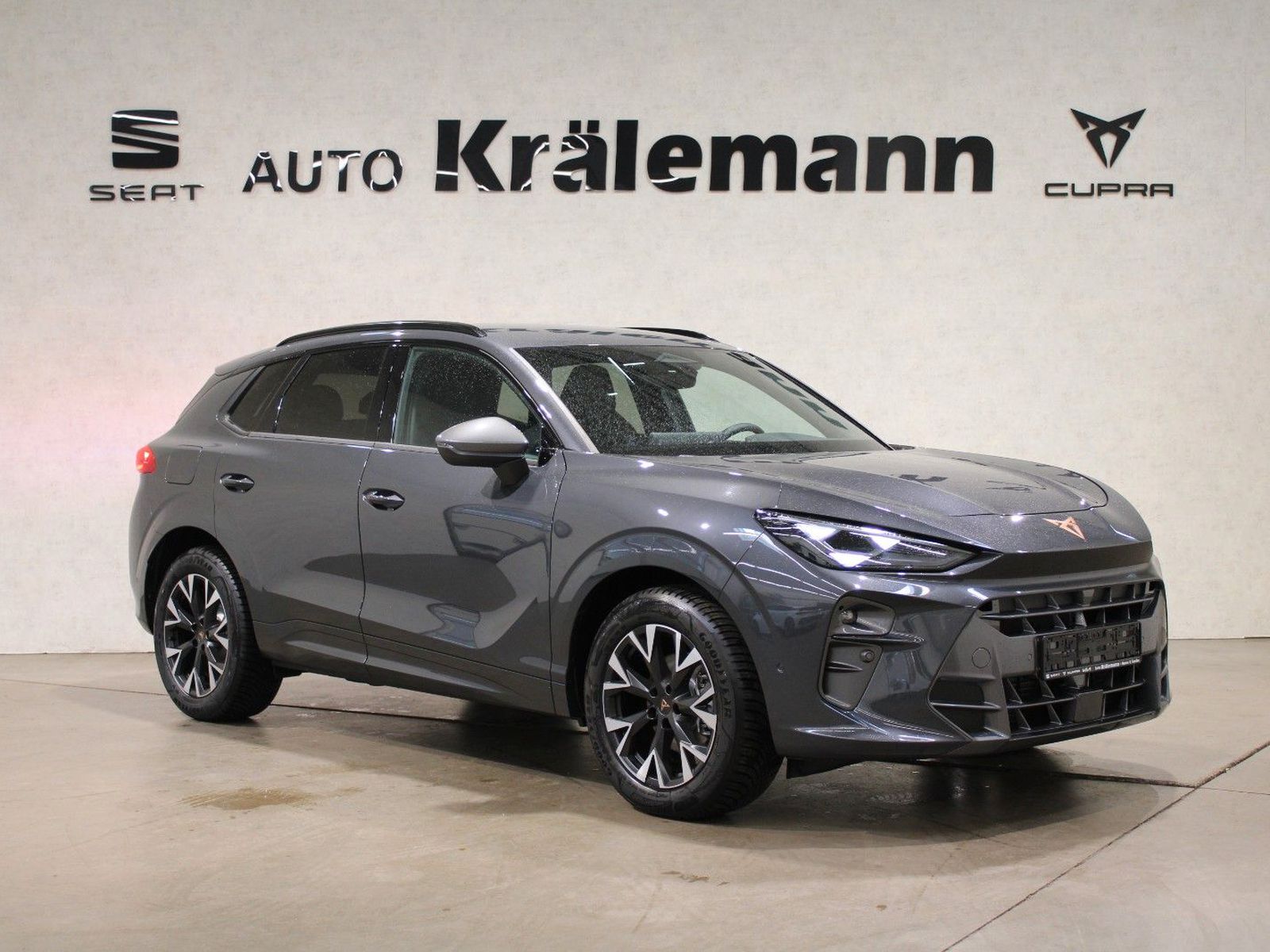 Terramar 2.0 TSI 150kW DSG 4Drive*AHK*HUD*Navi*