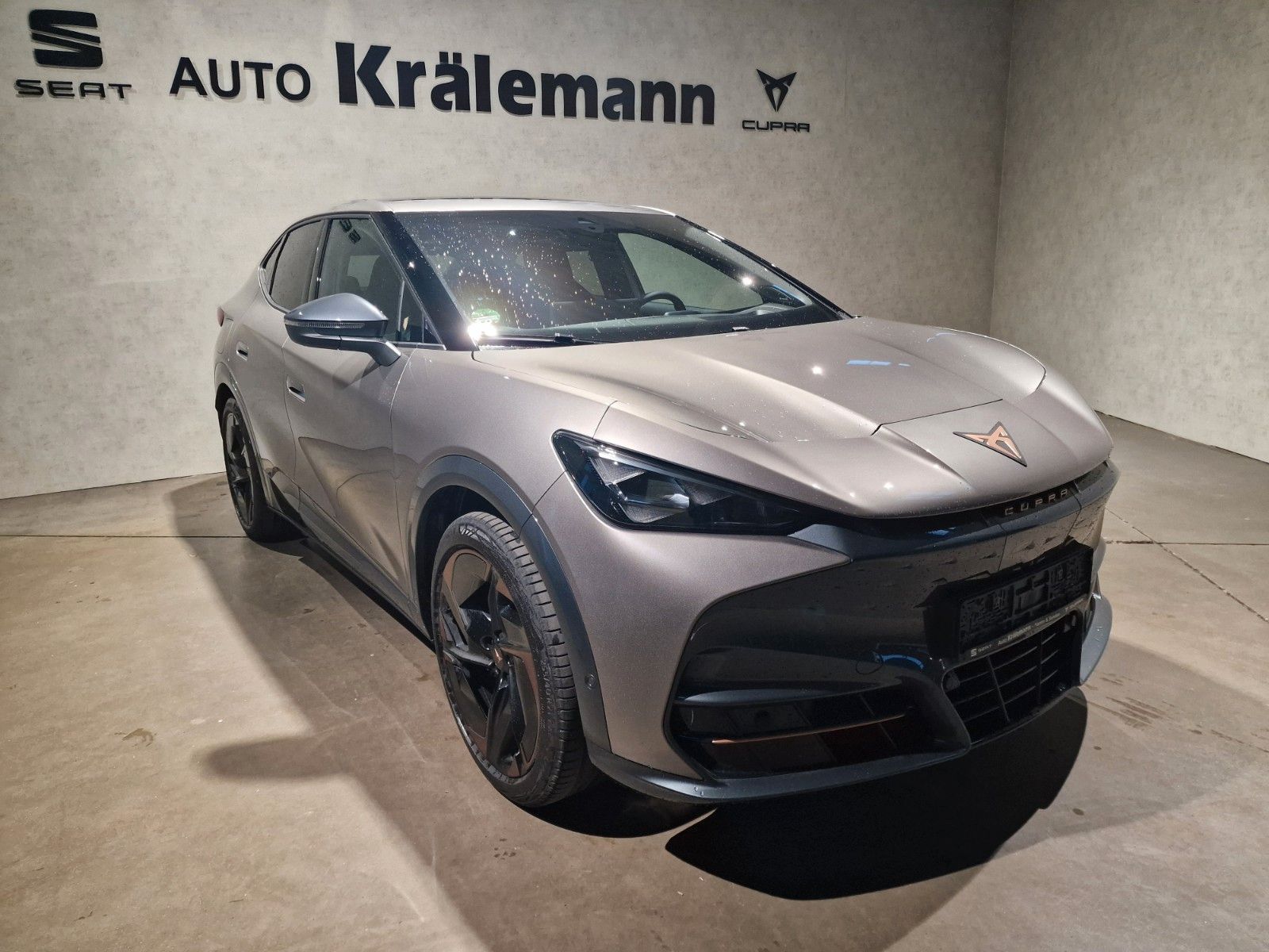 Tavascan 210 kW Endurance 77kWh *AHK*Wärmepumpe*