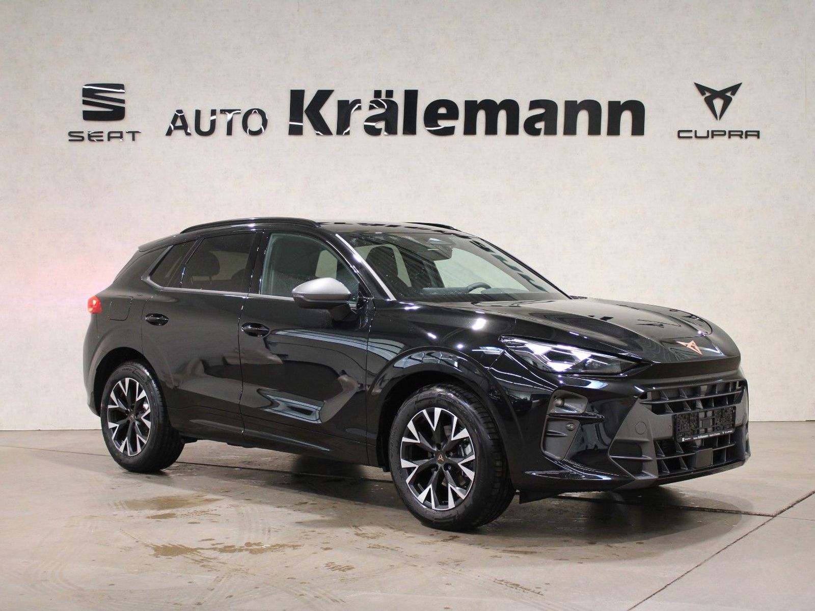 Terramar 1.5 eTSI DSG*Navi*Matrix*AHK*Sennheiser