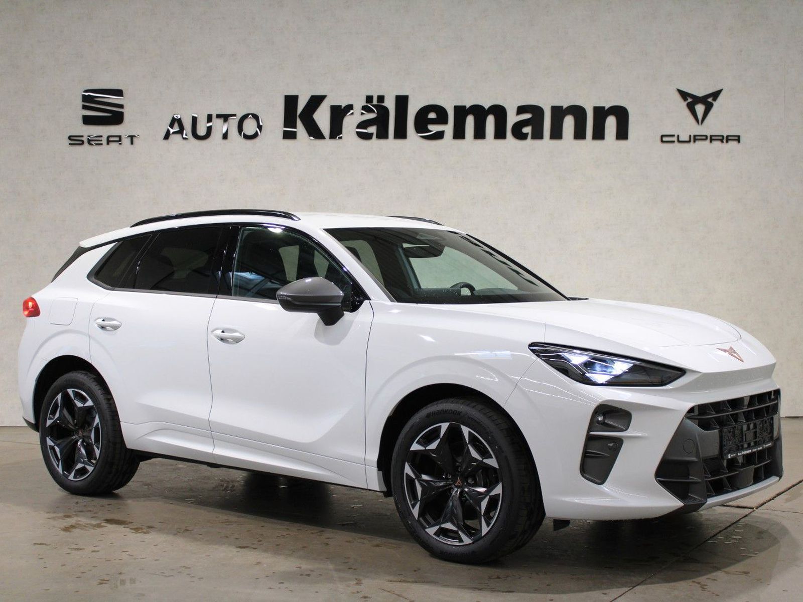 Terramar VZ 1.5 DSG e-Hybrid 200 kW*AHK*el.Heckk