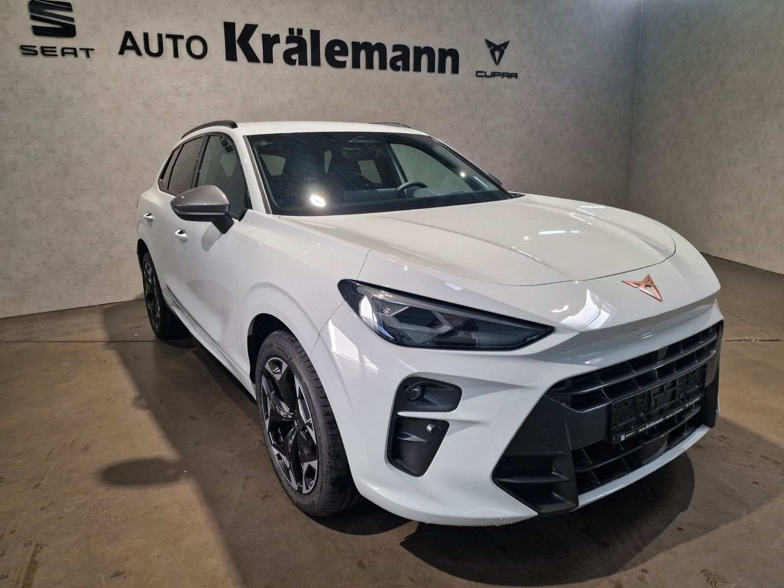 Terramar VZ 1.5 DSG e-HYBRID 200 kW*AHK*Navi*LED