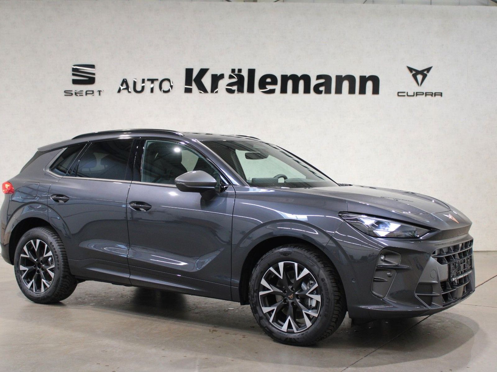 Terramar 2.0 TSI DSG 4Drive*PanoDach*AHK*