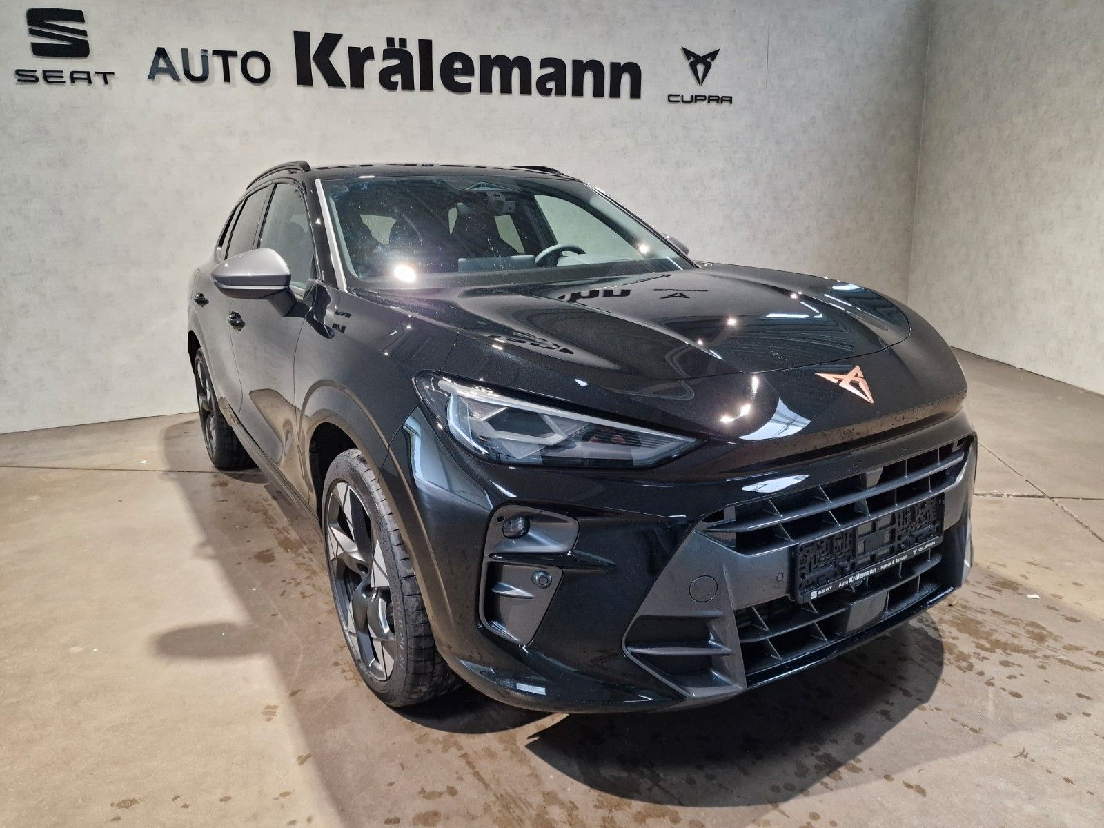 Terramar VZ 2.0 TSI 7-Gang-DSG 4Drive *AHK*NAVI*