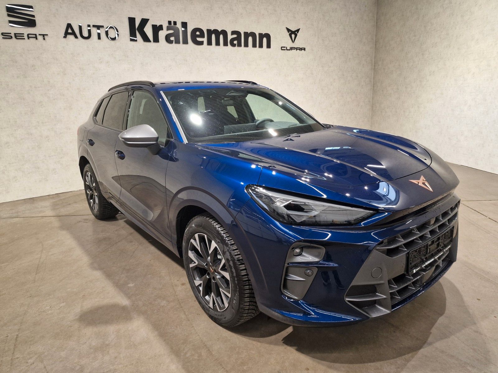 Terramar 1.5 eTSI 110kW 7-Gang-DSG *AHK*LED*NAVI