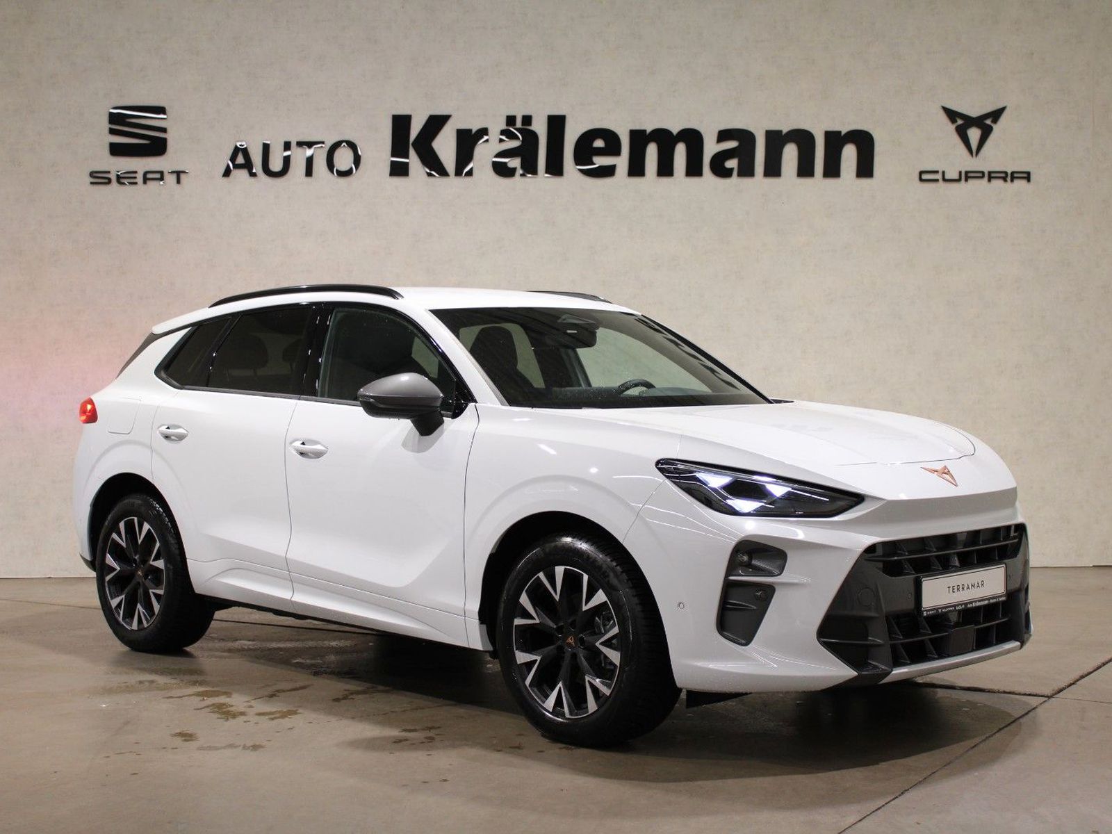 Terramar 1.5 eTSI 110kW 7-Gang-DSG *AHK*LED*NAVI