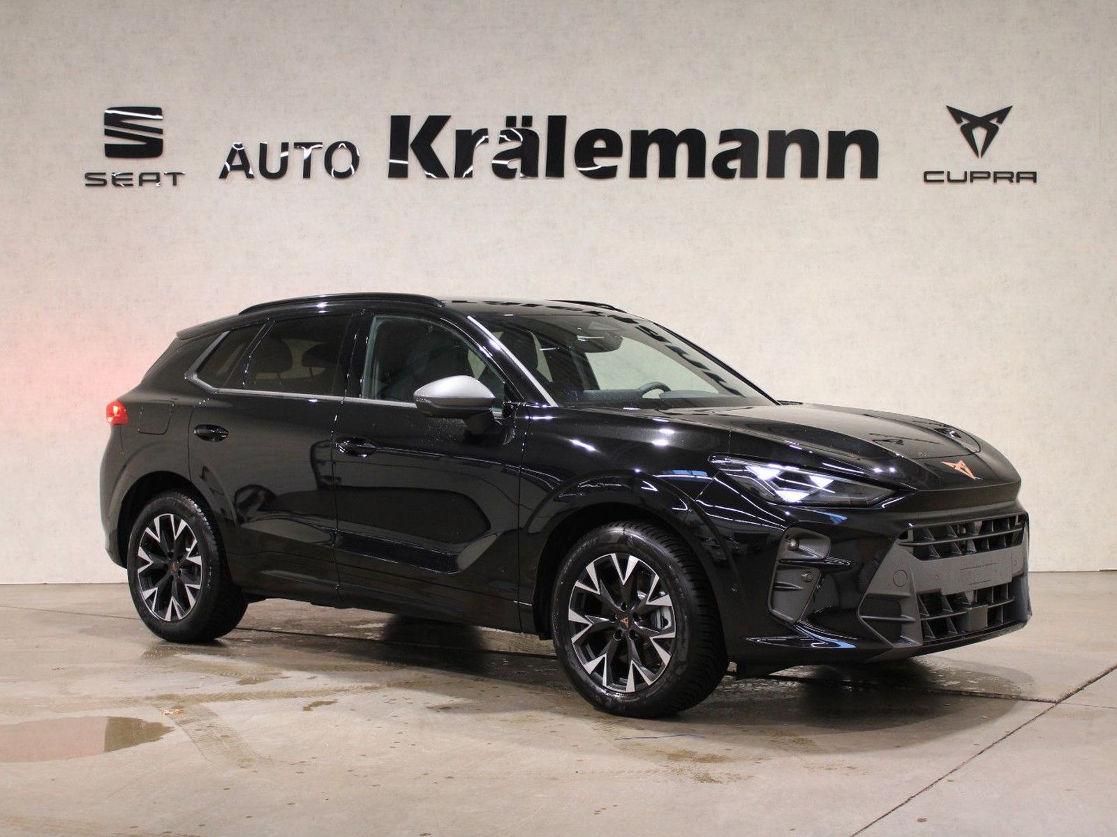 Terramar 2.0 TSI DSG 4Drive*Navi*LED*AHK*