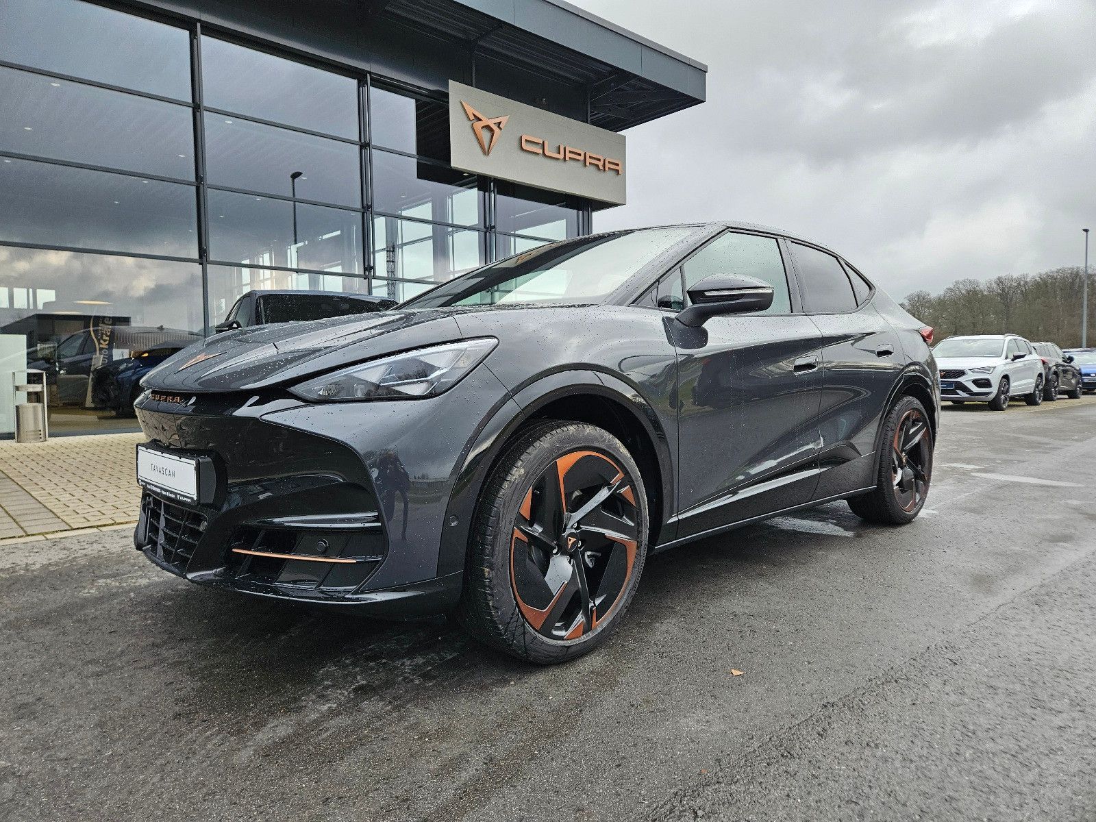 Tavascan 210 kW Endurance *PanoDach*