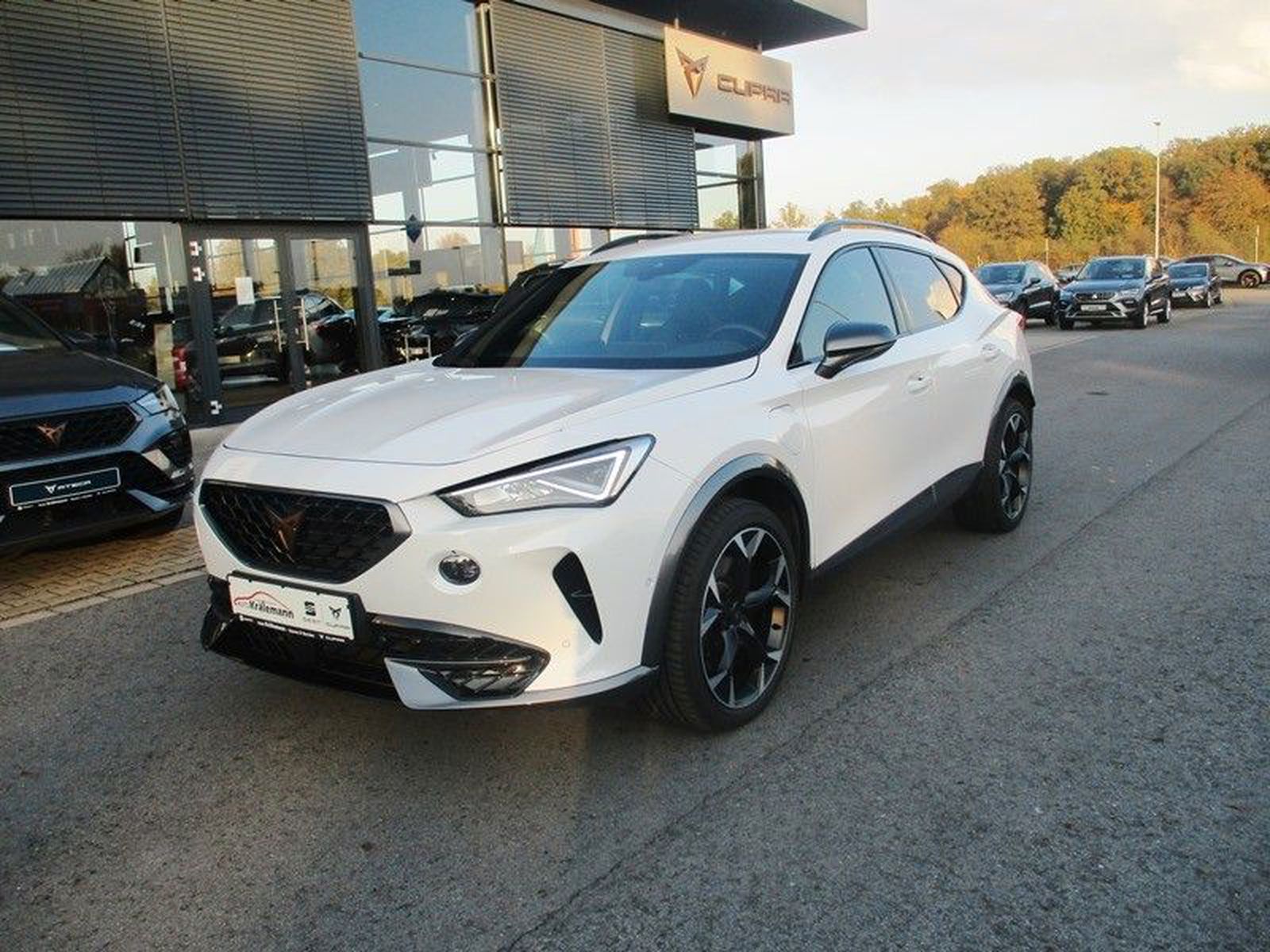 Formentor VZ 1,4 DSG e-Hybrid*Navi*LED*el.Sitz