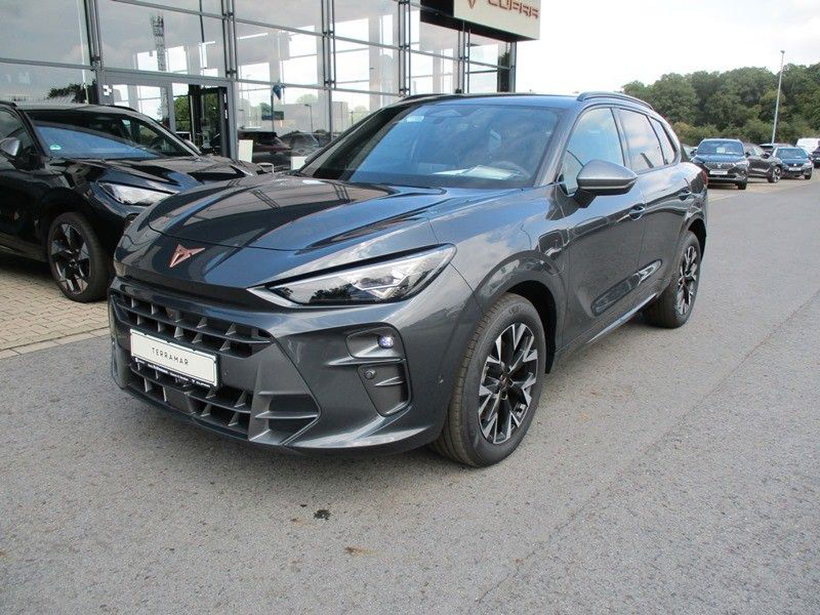 Terramar 1.5 DSG e-Hybrid*Navi*LED*AHK*