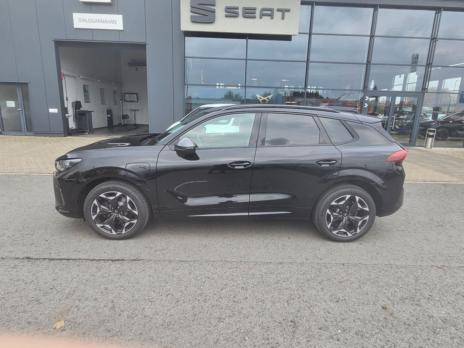 Terramar 1.5 eTSI DSG *AHK*GJR*Alcantara*