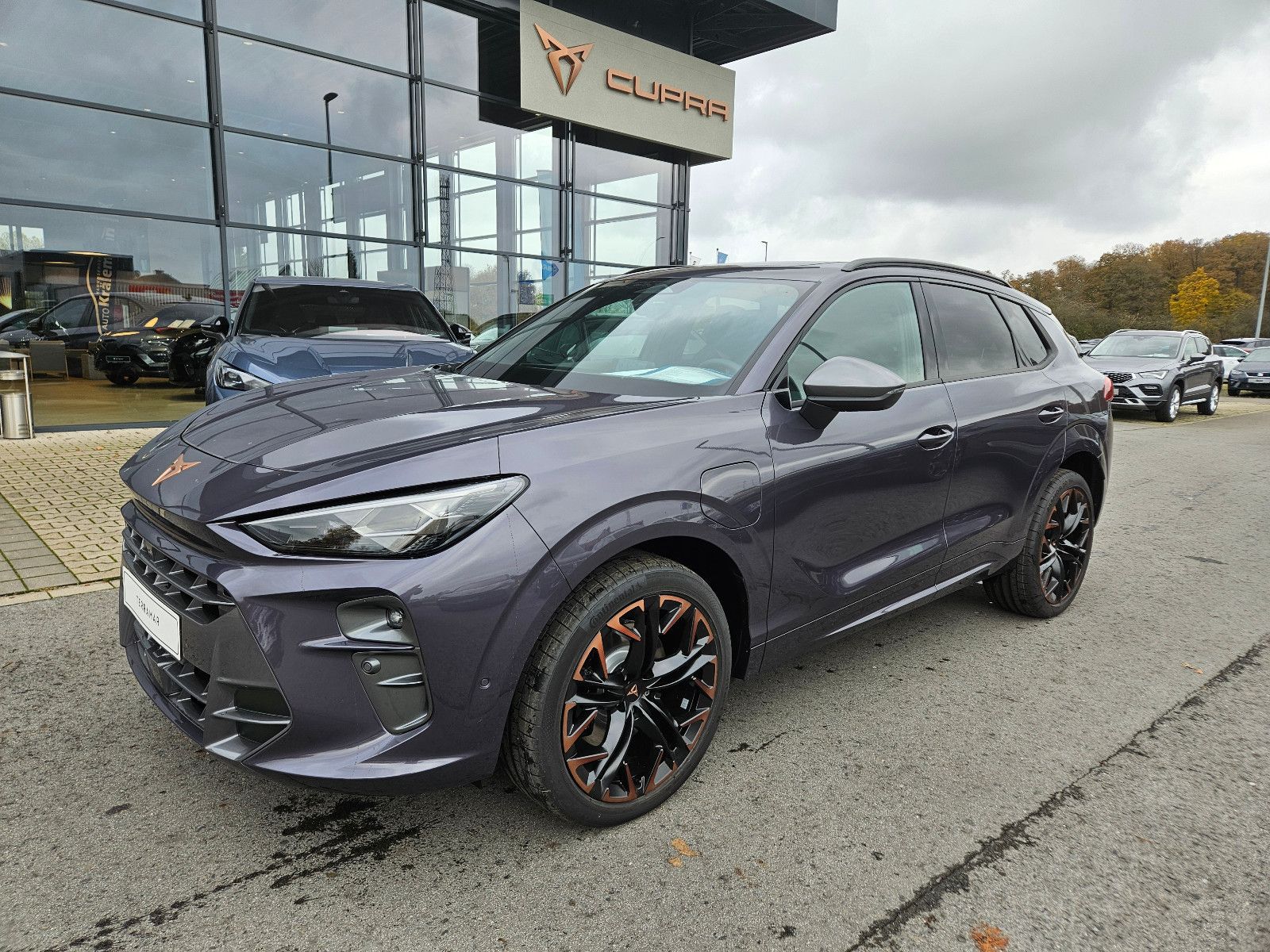 Terramar 2.0 TSI DSG 4Drive VZ *AHK*20&quot;Zoll ...