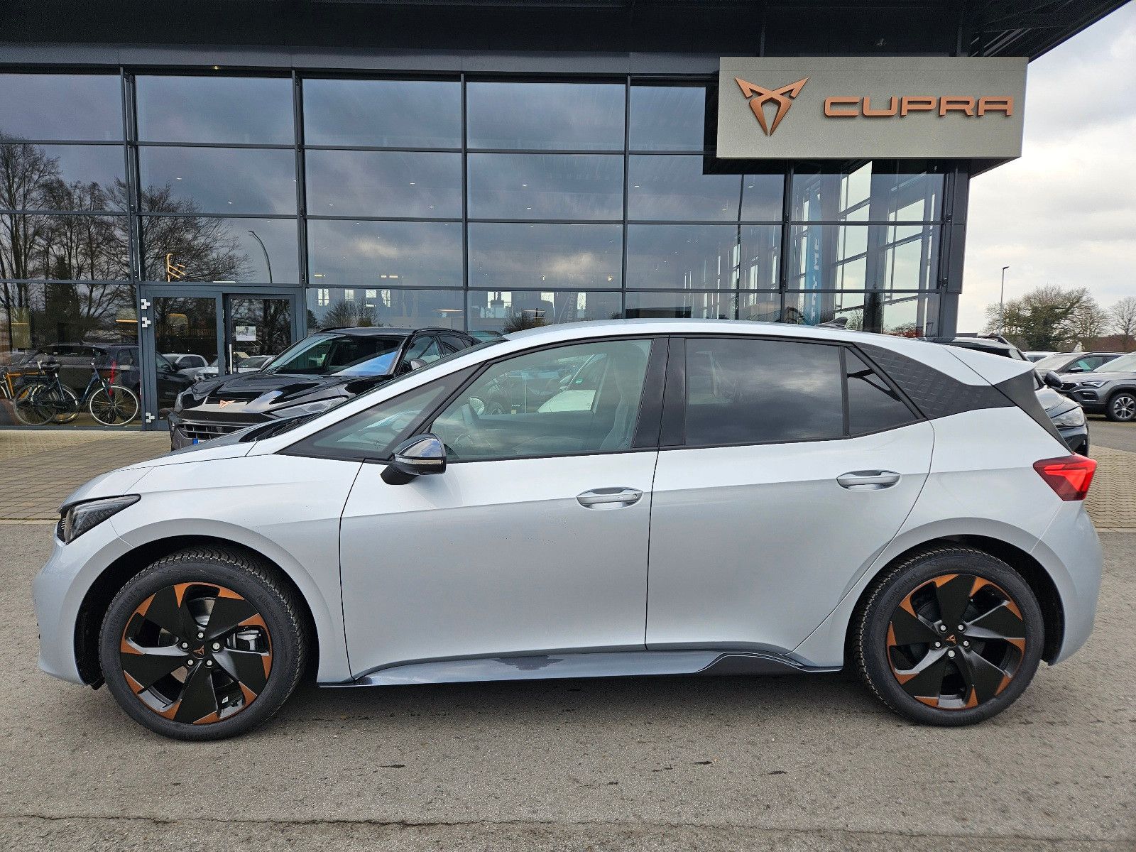 Born Edition Dynamic *Pilot L* Ganzjahresreifen*